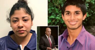 Ex-US diplomat John Negroponteâs daughter Sophia sentenced in friendâs drunken murder